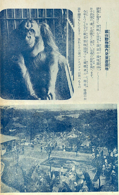 光柵動物園【我們皆有一雙毛茸茸的雙手】