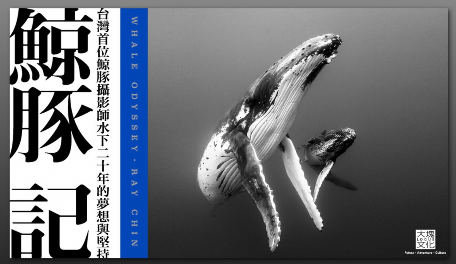 【講座】我的追逐人生《鯨豚記》分享會