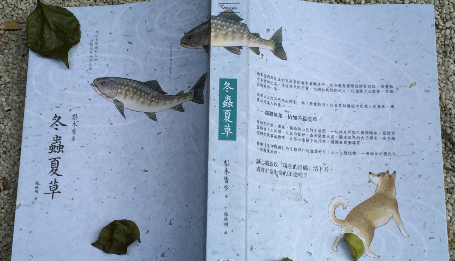 [三餘選書]煉成既纖細又強韌的棲所─《冬蟲夏草》