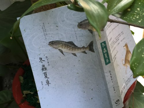 [三餘選書]煉成既纖細又強韌的棲所─《冬蟲夏草》
