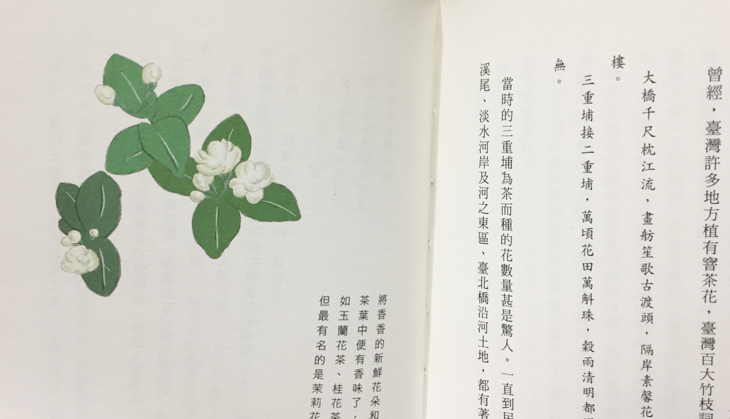 [三餘選書]《安靜的煙火─我的臺灣花．樹》