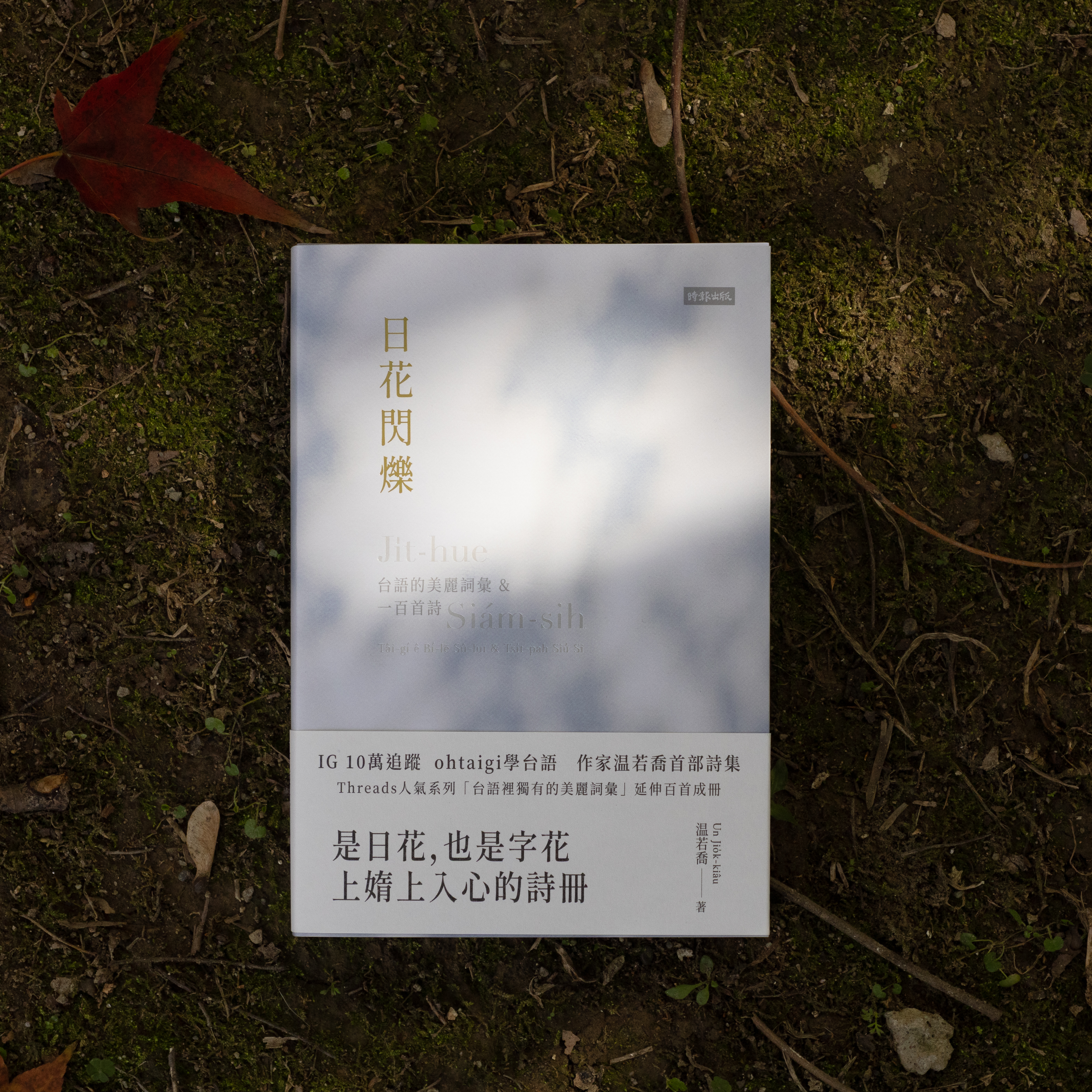 （已額滿）——【講座】3/21（六）温若喬──「浪鳥飛向日花：台語文的美麗新生」
