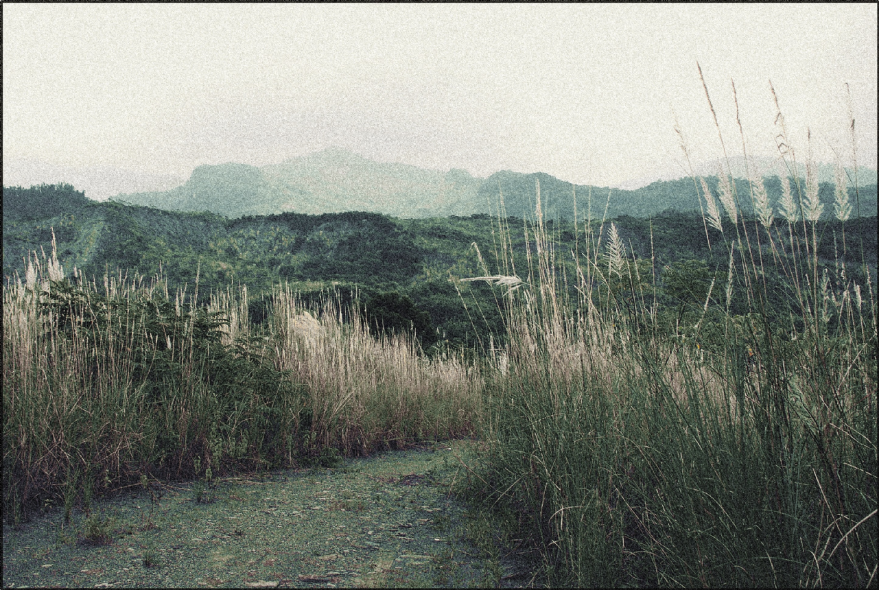 達林（Darling）你好嗎？一段回家的生命旅程（台29：那瑪夏的達卡努瓦-林園）