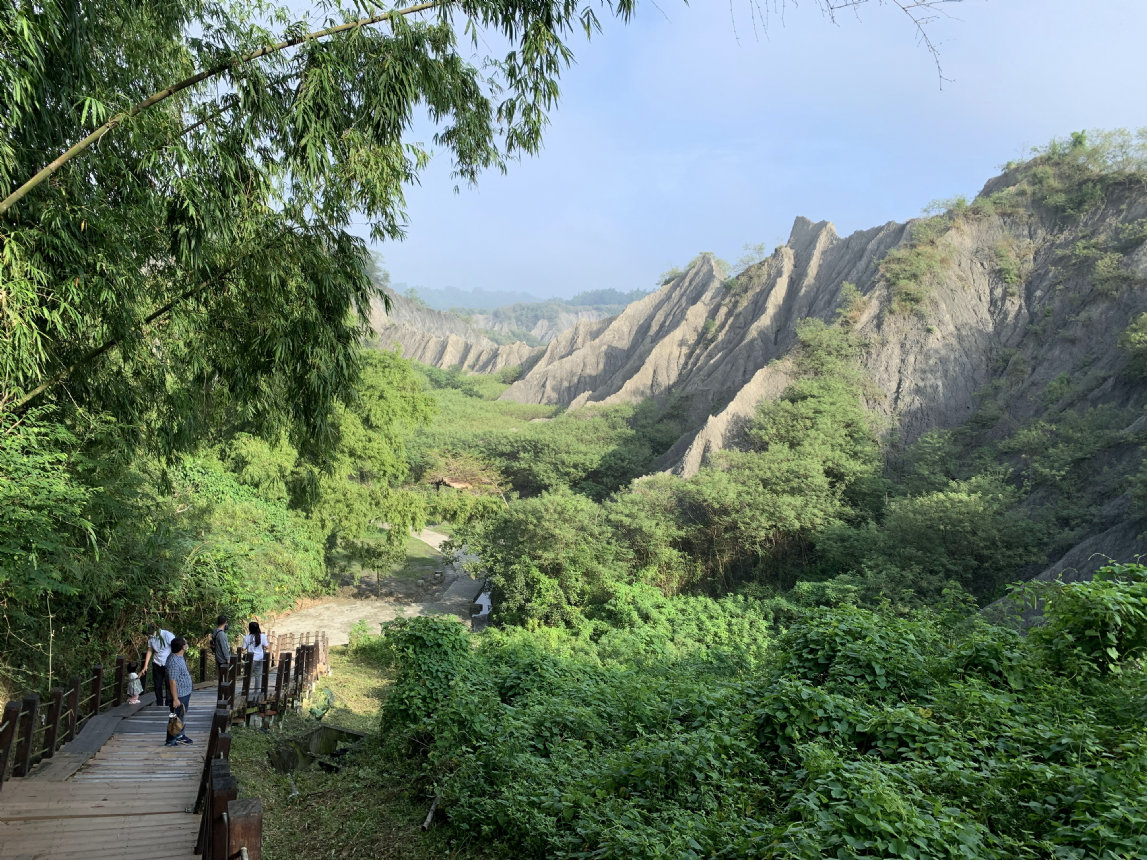 【後疫文學2.0-走讀】 作家帶你去旅行，惡地竹林生態趣