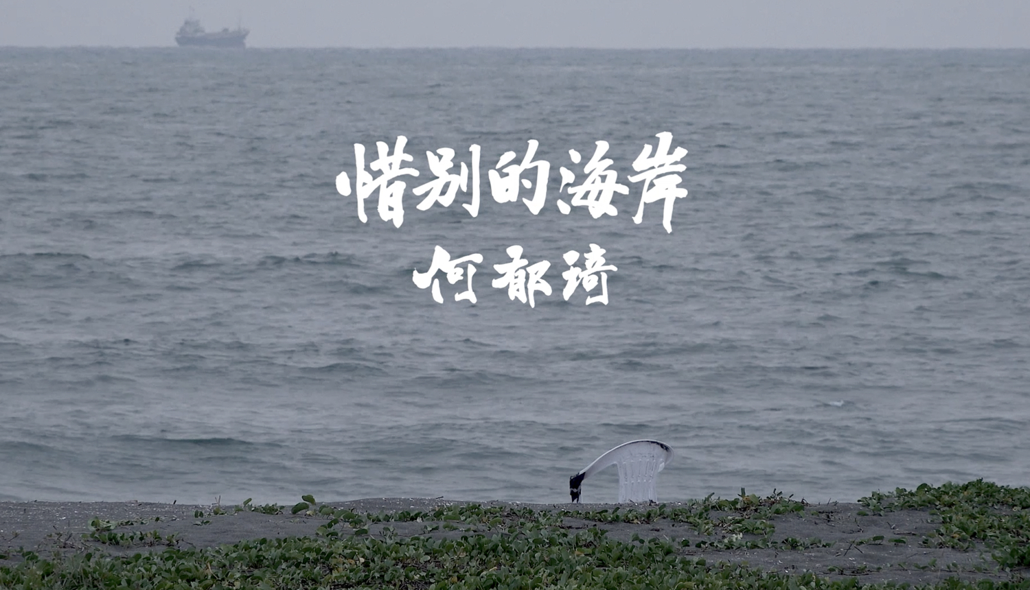 【紀錄片放映】南藝紀錄片巡迴《惜別的海岸》放映