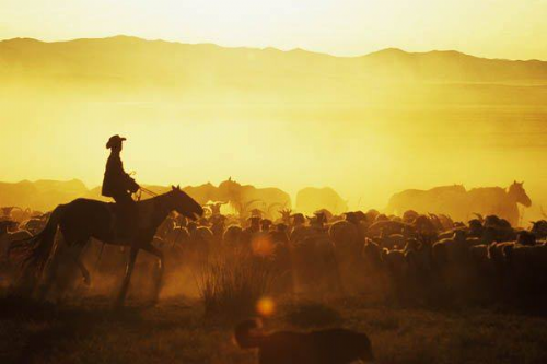 【旅遊分享會】蒙古國－西部記行及國慶那達慕